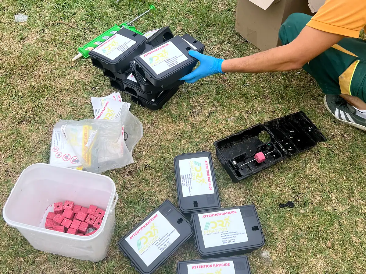 Un technicien Deratizon dispose des postes d’appâtage sécurisés, étiquetés « Attention raticide ».